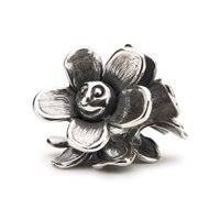 Charm Trollbeads Beads in Silver TAGBE-20215 - TAGBE-20215